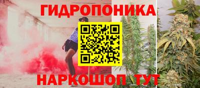 прущая мука Канаш