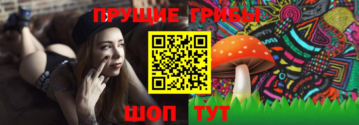 Галлюциногенные грибы MAGIC MUSHROOMS  Вход с VPN  Котовск 